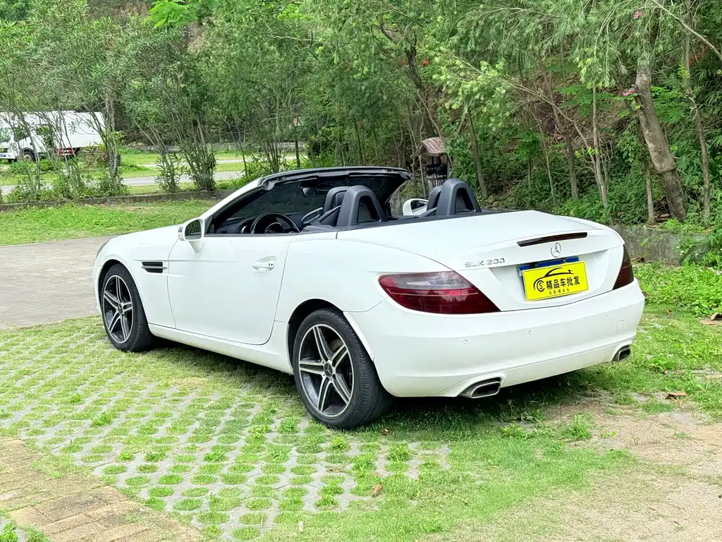 Mercedes-Benz SLK-Class SLK 200 Fashion Type, фото 7