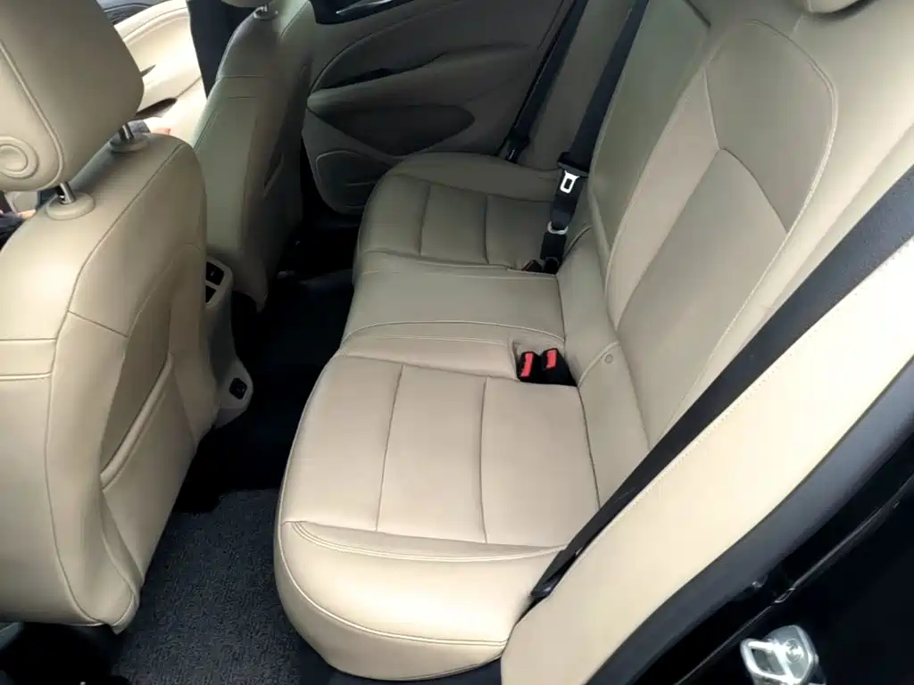 Buick Regal — миниатюра 17