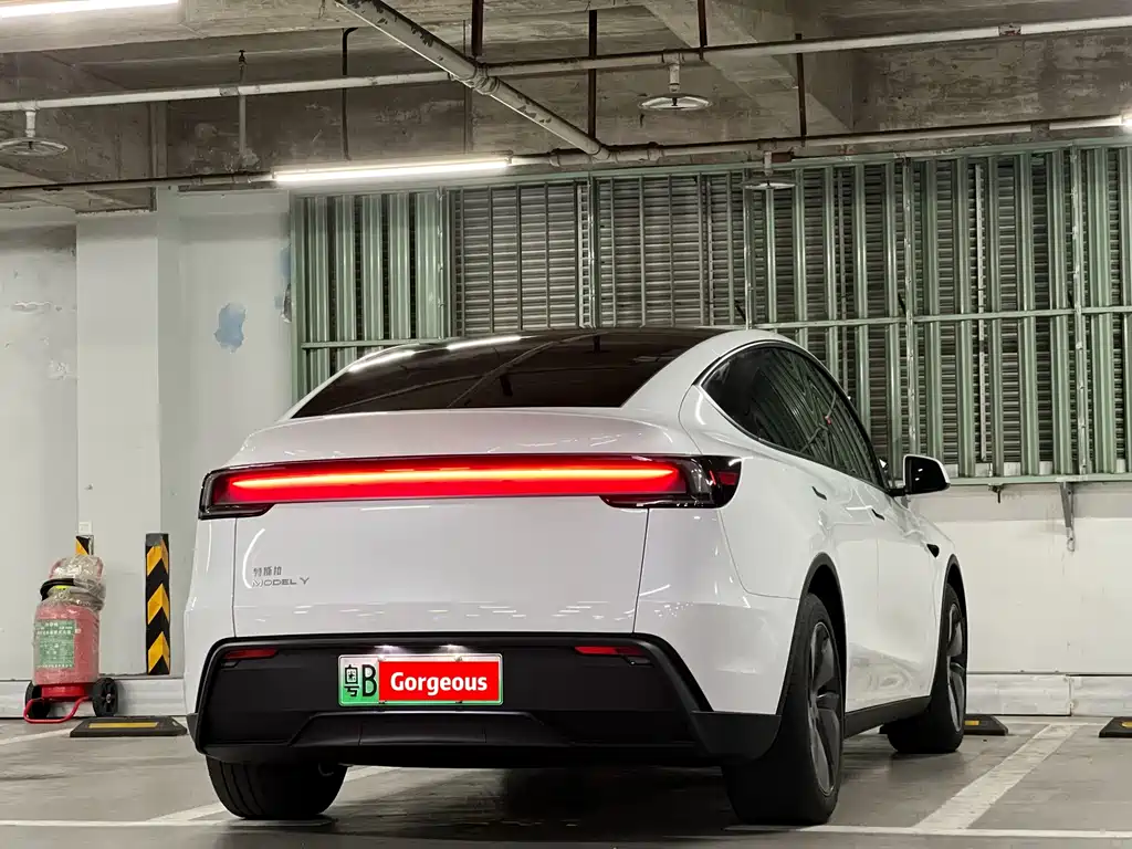 Tesla Model Y — миниатюра 56