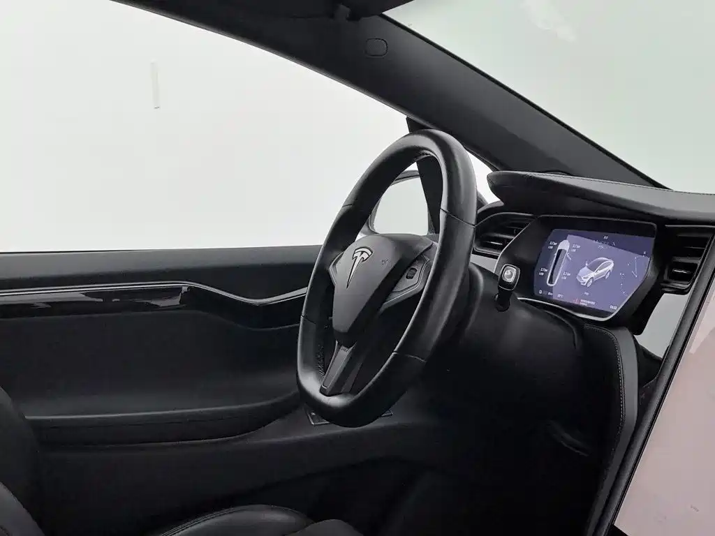 Tesla Model X — миниатюра 22