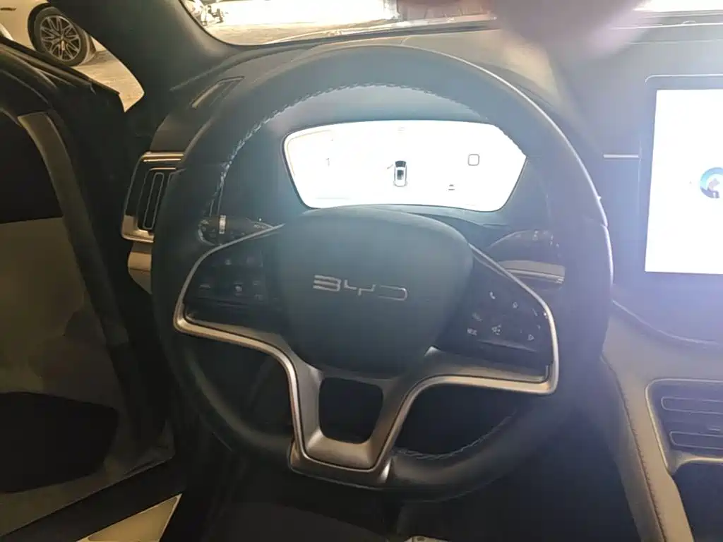 BYD PLUS New Energy — миниатюра 11