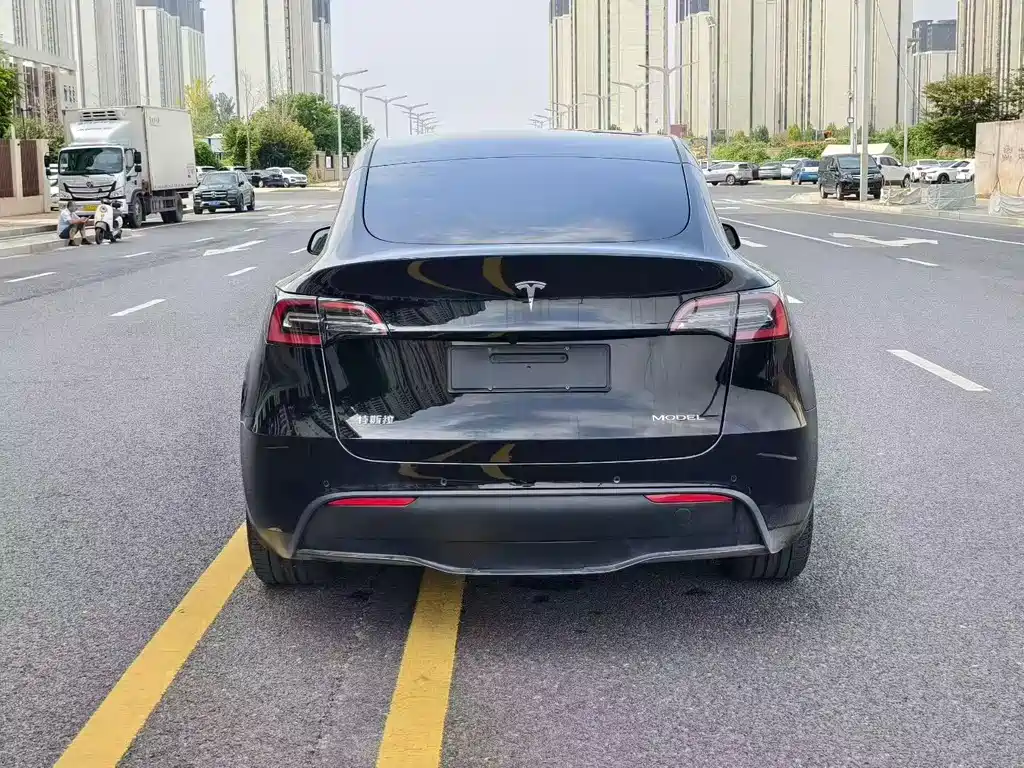 Tesla Model Y — миниатюра 8