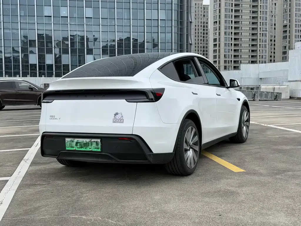 Tesla Model Y — миниатюра 6