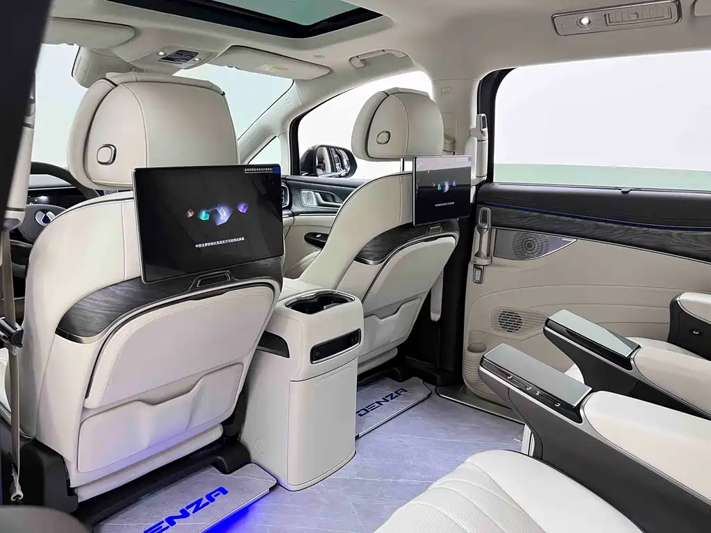 Denza Denza D9 — миниатюра 13