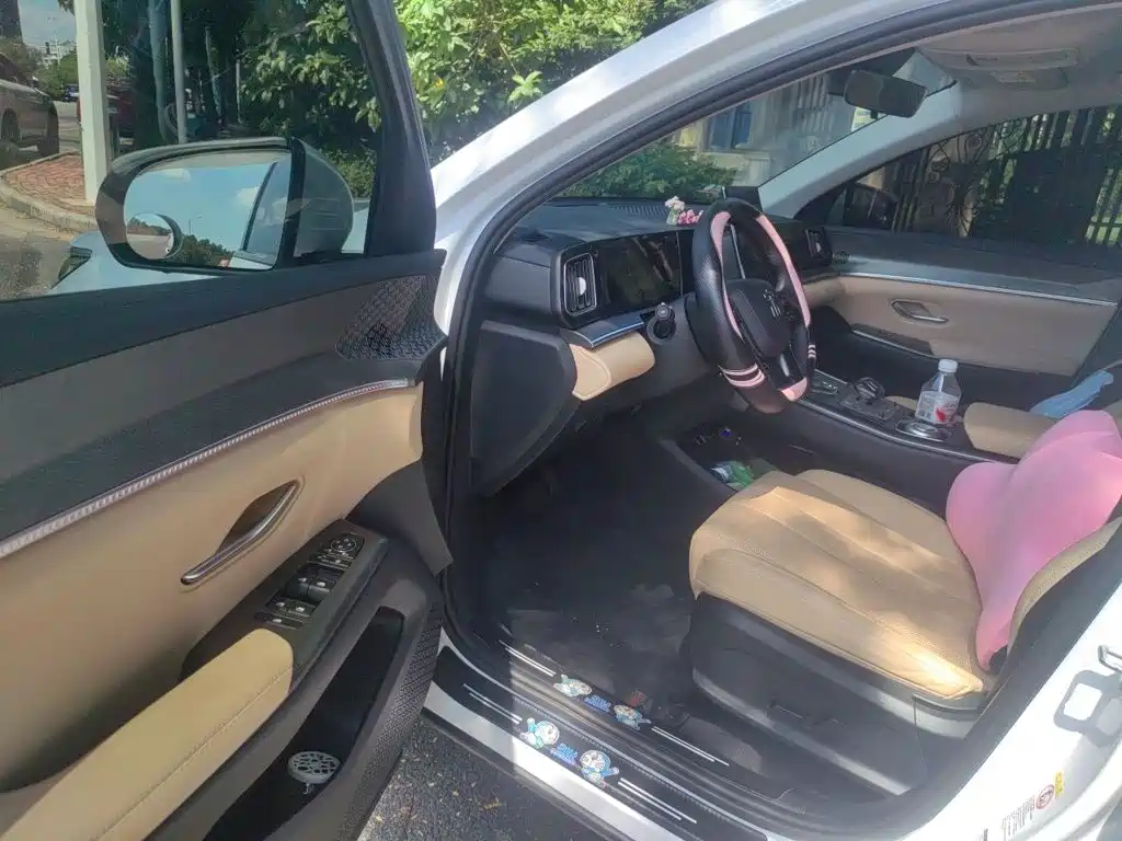 BYD Pro New Energy — миниатюра 12