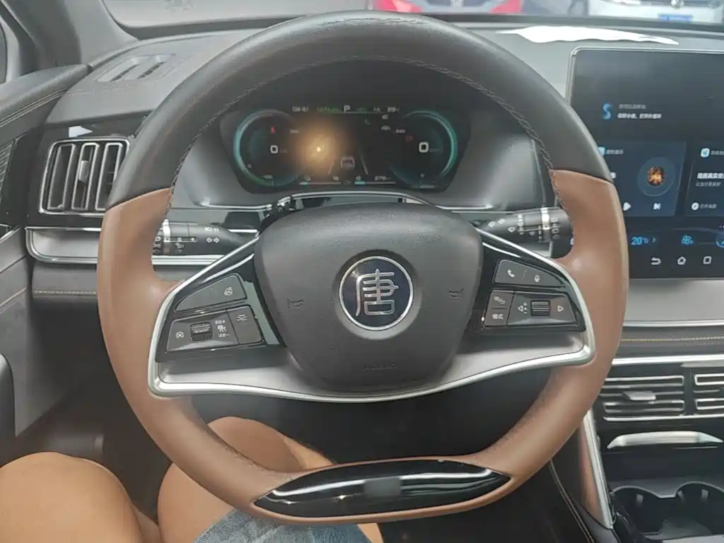BYD Tang New Energy — миниатюра 11