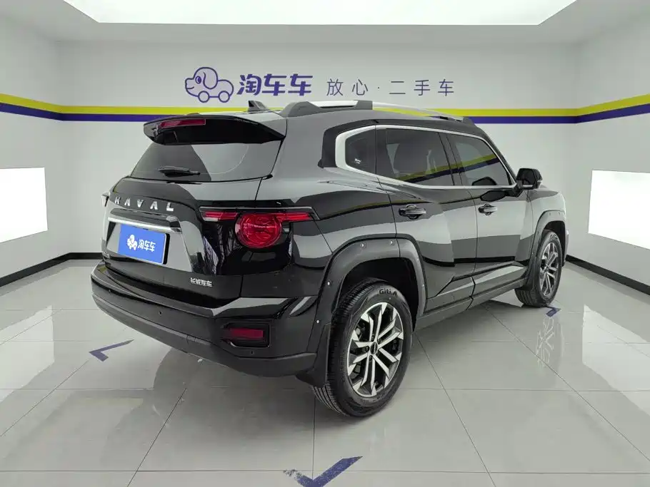 Haval Big Dog PLUS — миниатюра 3