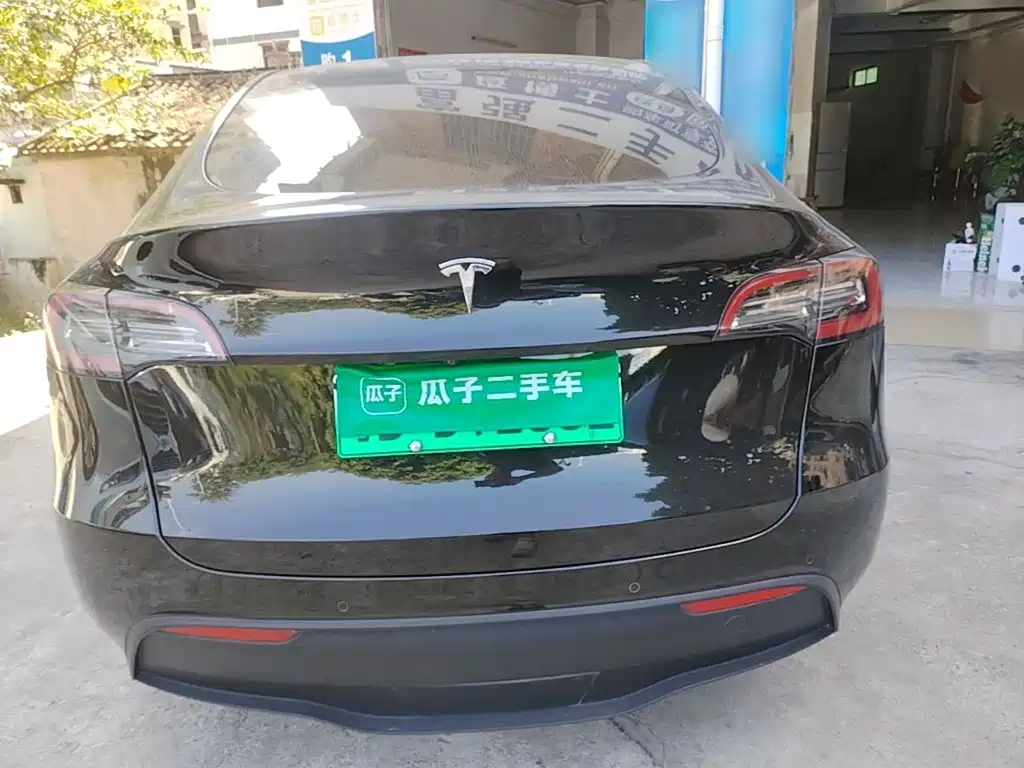 Tesla Model Y — миниатюра 6