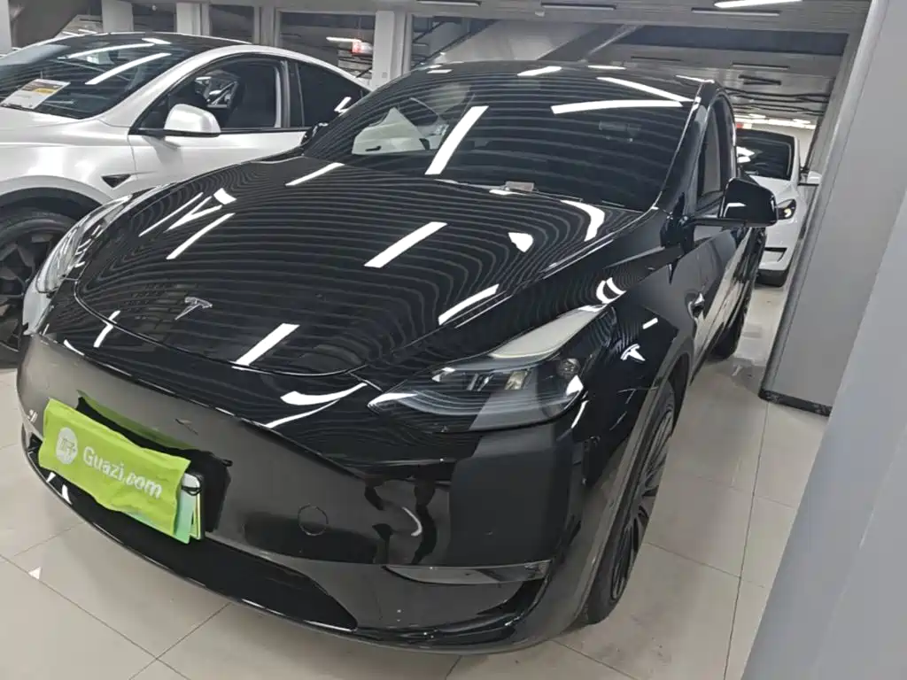 Tesla Model Y — миниатюра 2