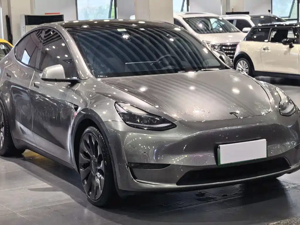 Tesla Model Y — миниатюра 3