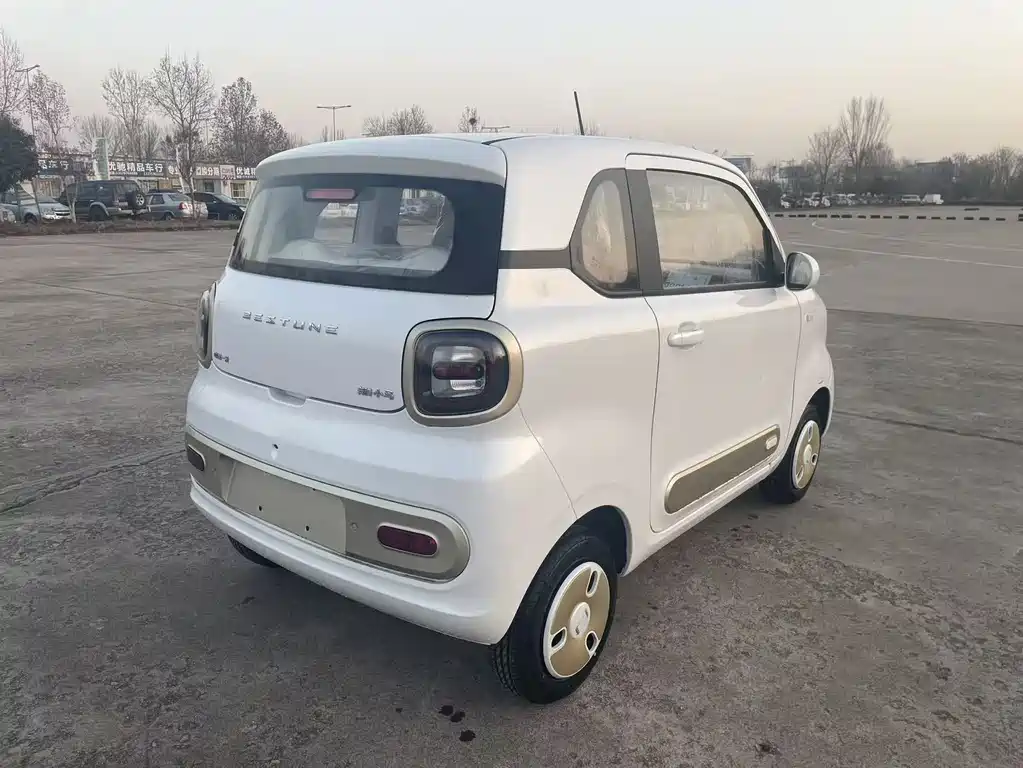 BESTUNE PENTIUM PONY