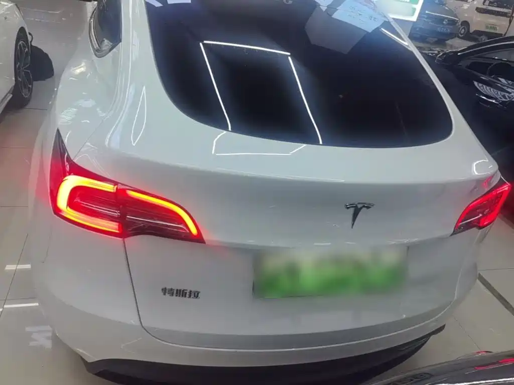 Tesla Model Y — миниатюра 6
