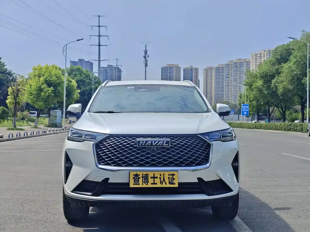 Haval H6 — миниатюра 2