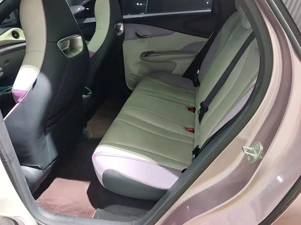 BYD Dolphin — миниатюра 13