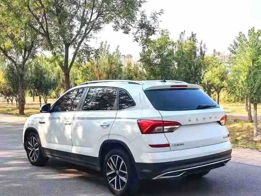 Skoda Kamiq — миниатюра 11
