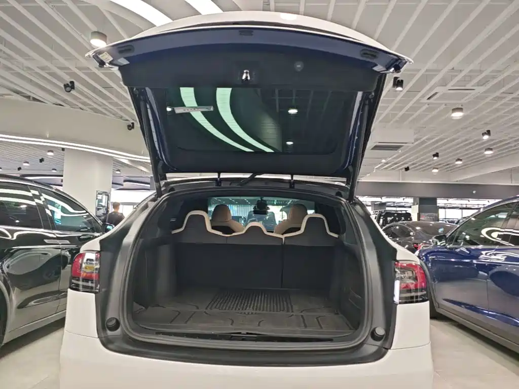 Tesla Model X — миниатюра 15