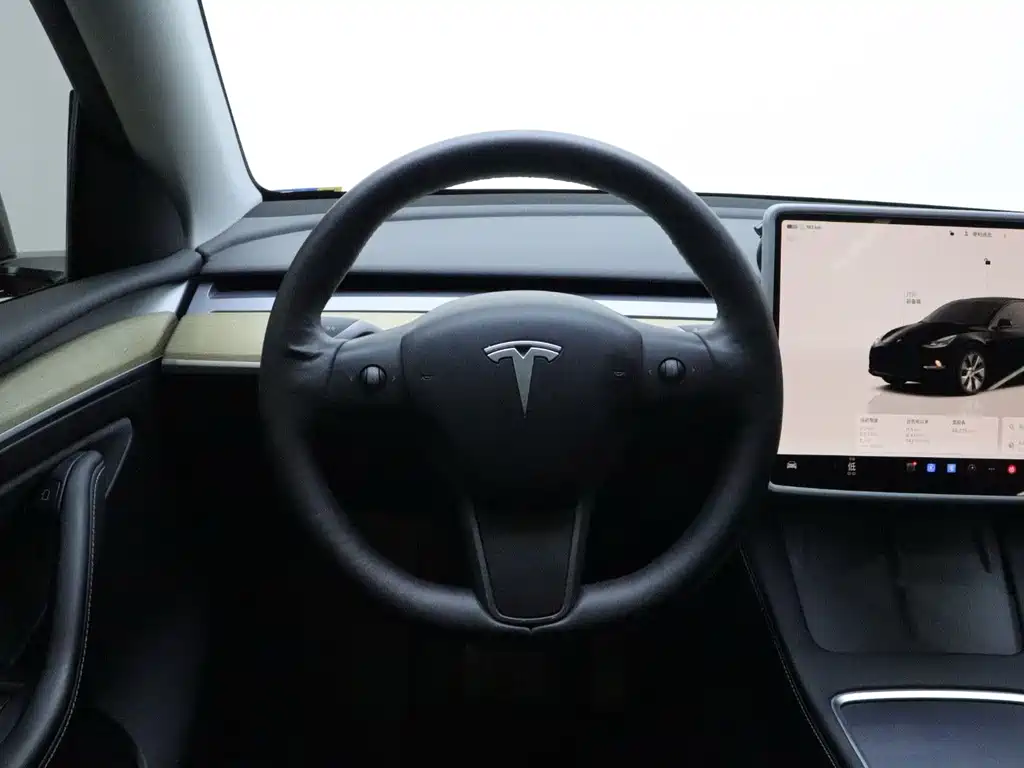 Tesla Model Y — миниатюра 15