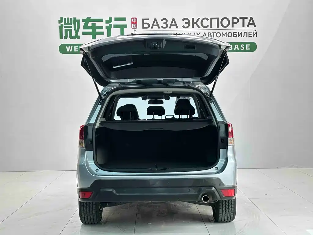Subaru Forester 2.0i Luxury Edition EyeSight, фото 7