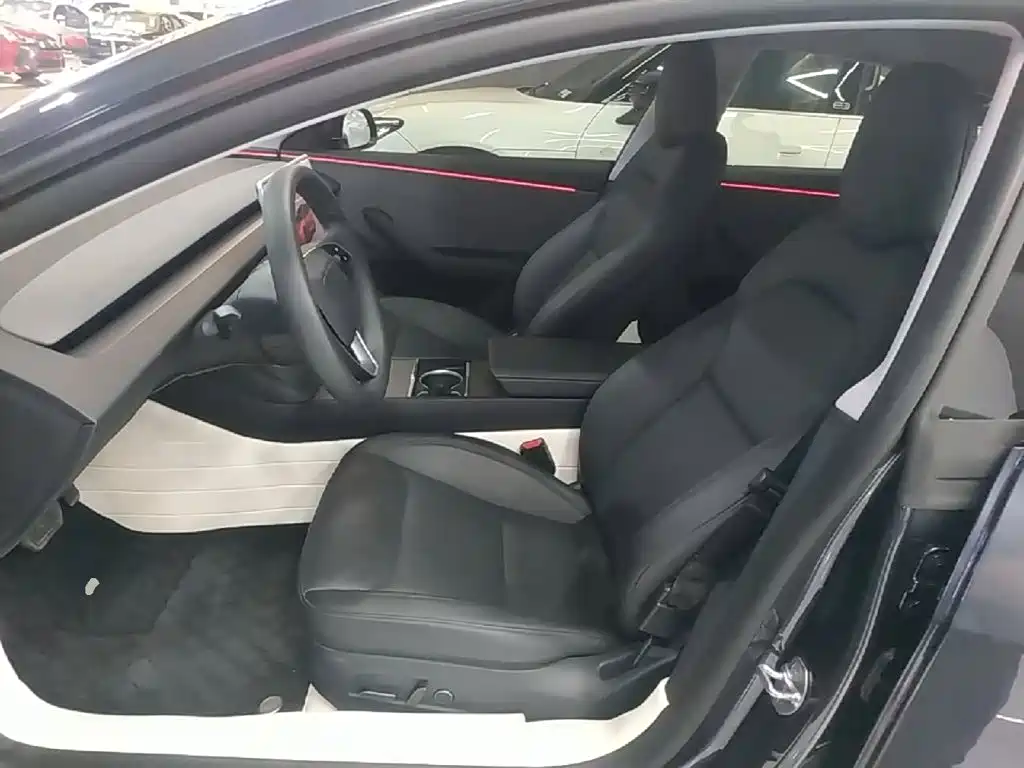 Tesla Model 3 — миниатюра 15