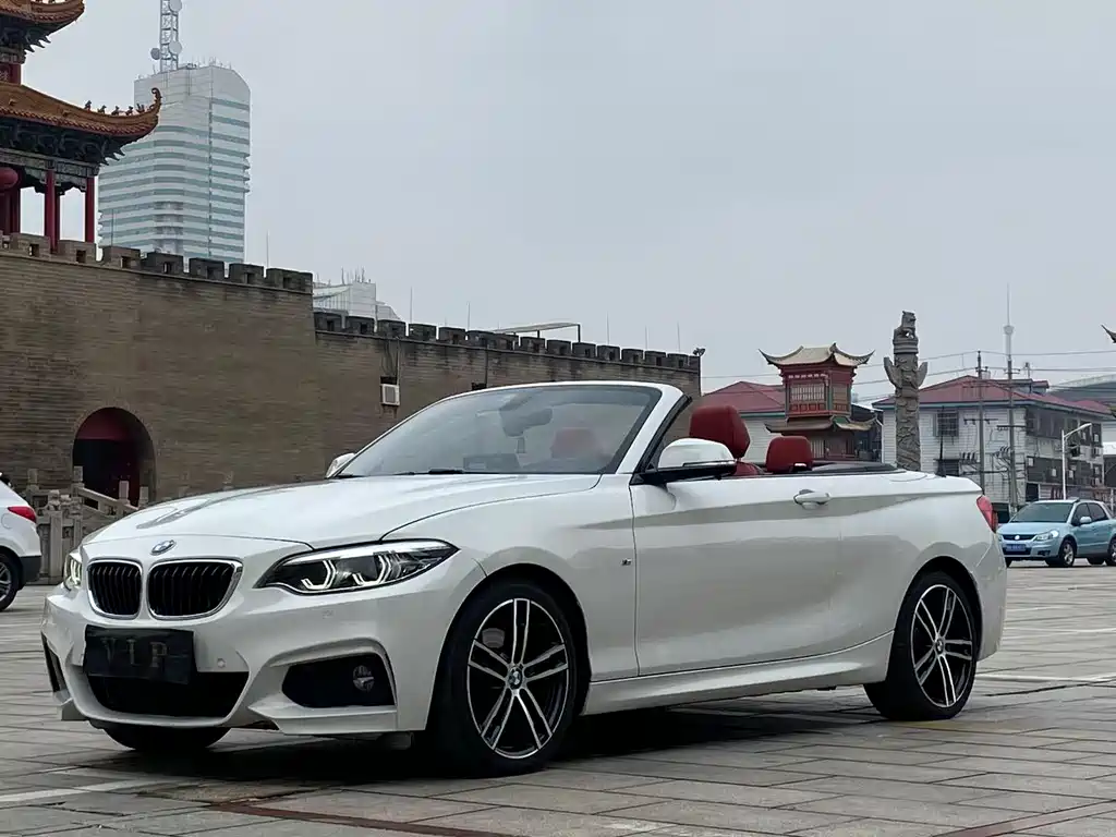 BMW 2 Series (Import) 2019