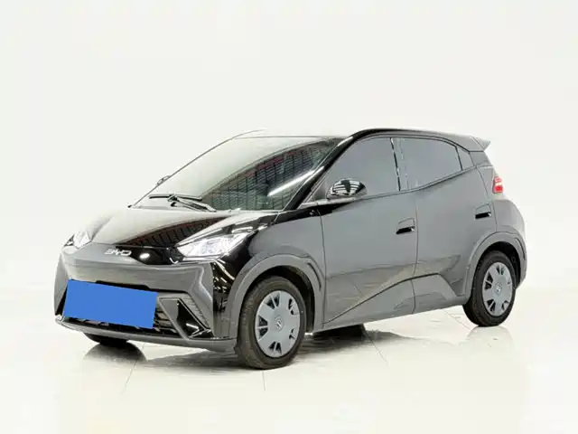 2024 BYD Seagull