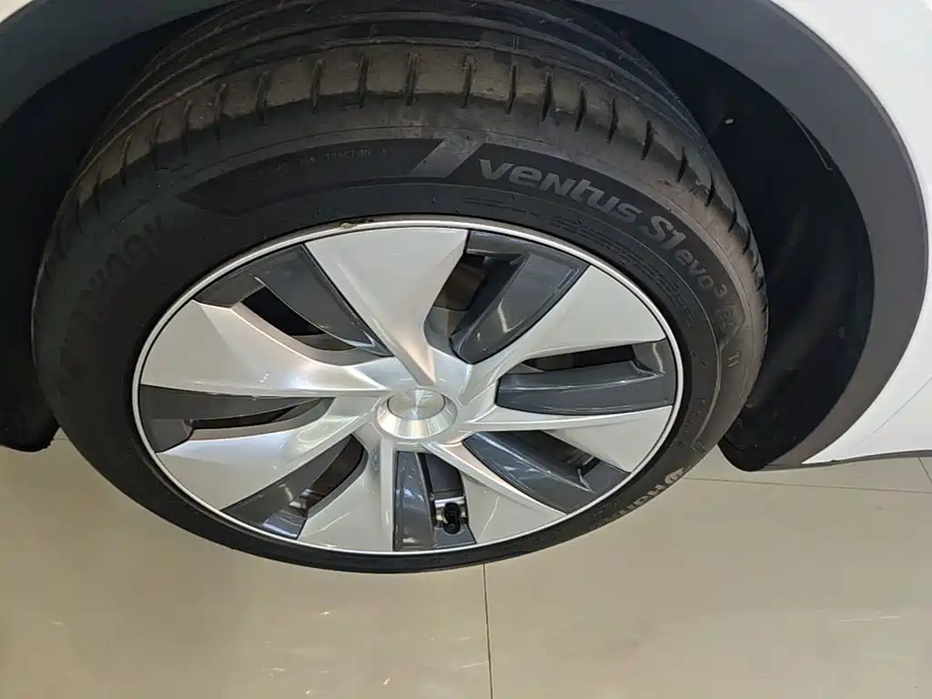 Tesla Model Y — миниатюра 23