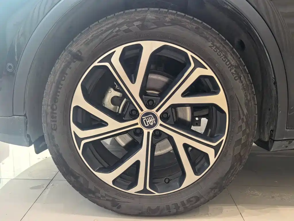 BYD Tang New Energy — миниатюра 13