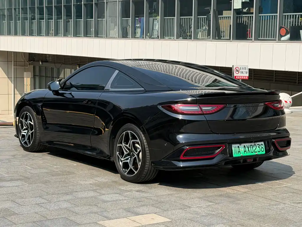Neta Neta GT — миниатюра 8