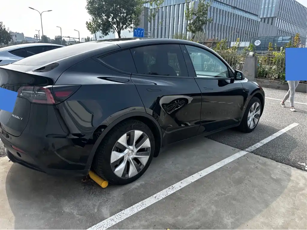 Tesla Model Y — миниатюра 2