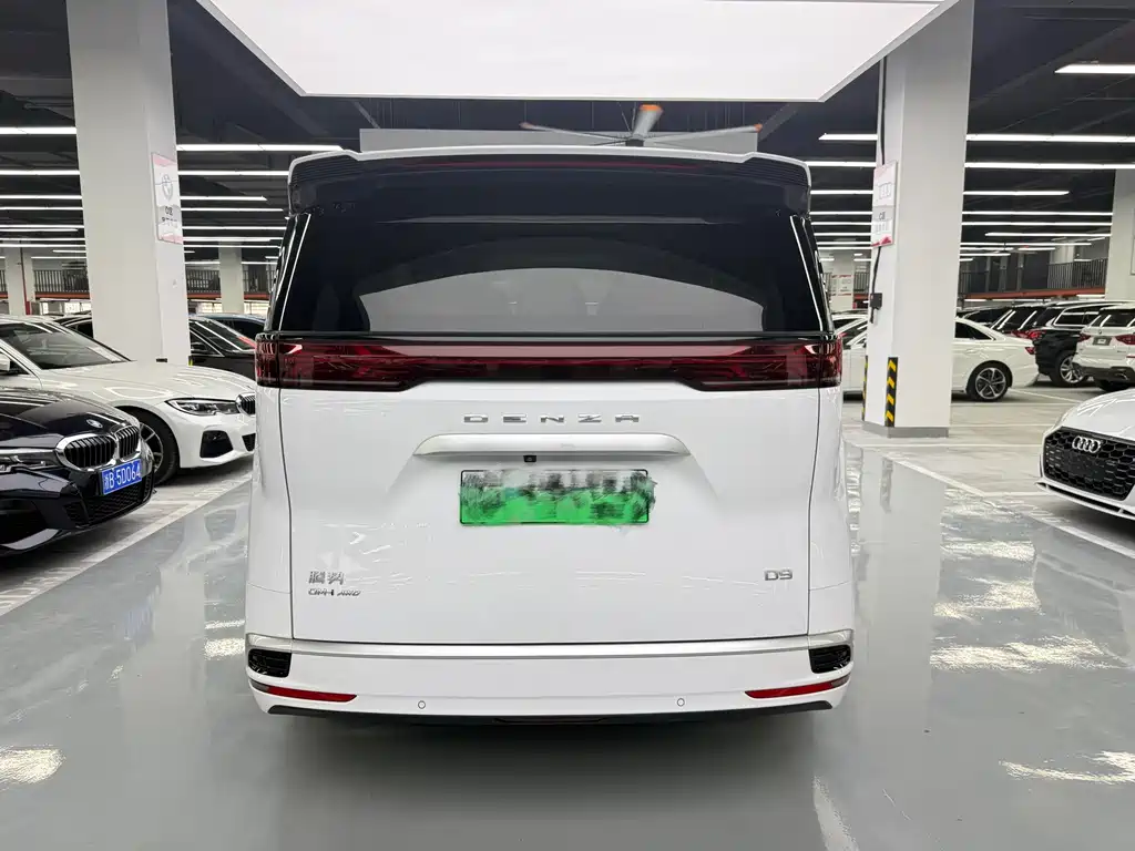 Denza Denza D9 — миниатюра 16