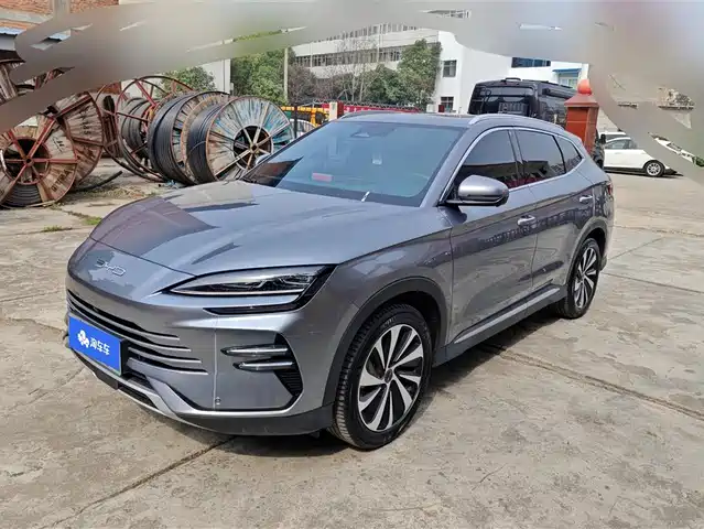 BYD SONGJIANG NEW ENERGY 2024