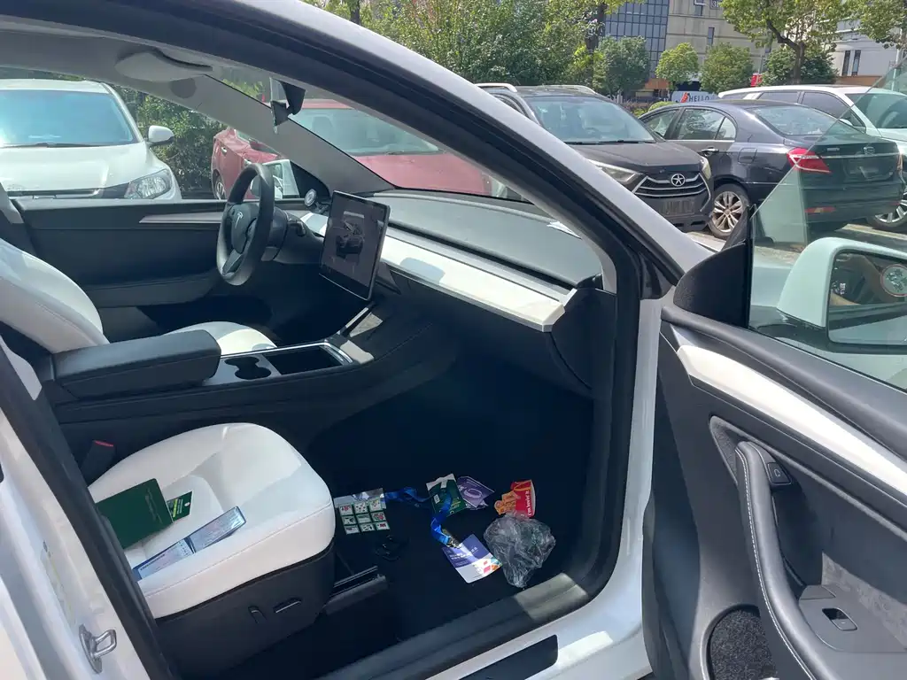 Tesla Model Y — миниатюра 5