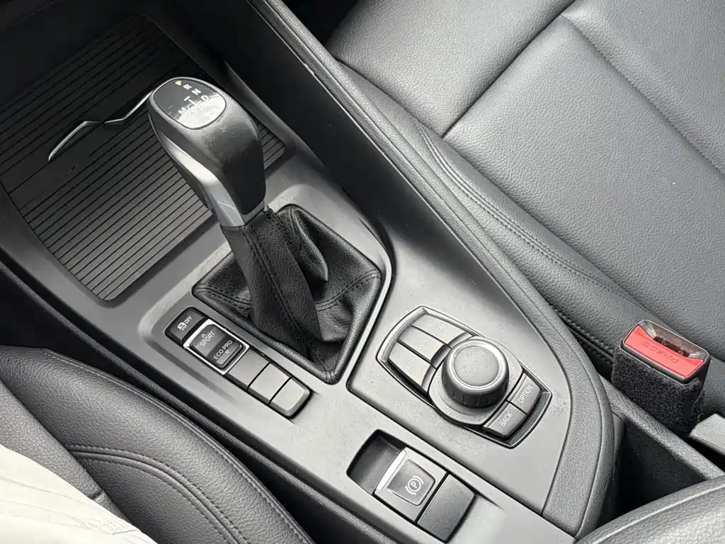 BMW X1 2019 sDrive20Li Lead