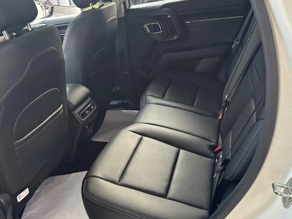 Haval Big Dog PLUS — миниатюра 9