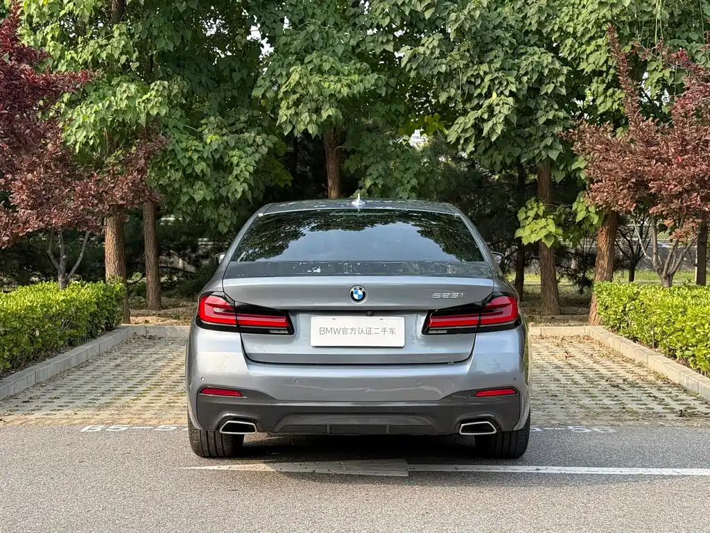 BMW 5 Series (Import) — миниатюра 3