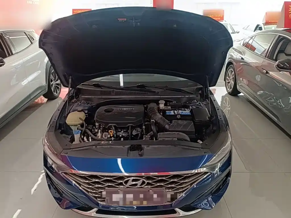 Hyundai Fista — миниатюра 20