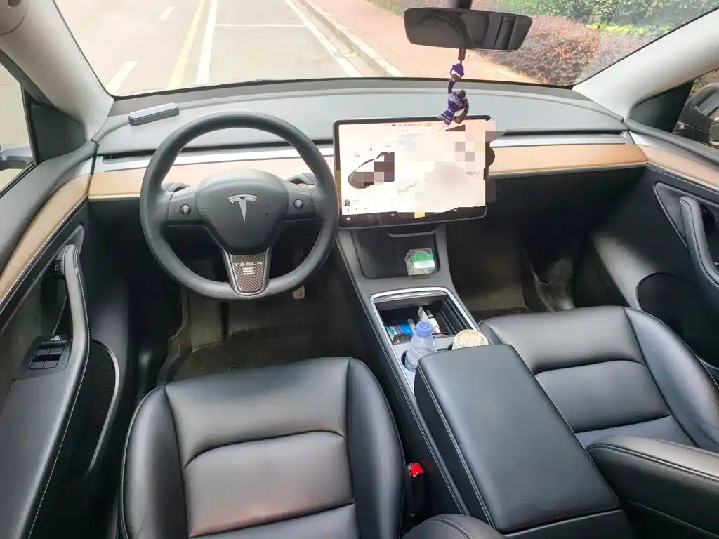 Tesla Model Y — миниатюра 5