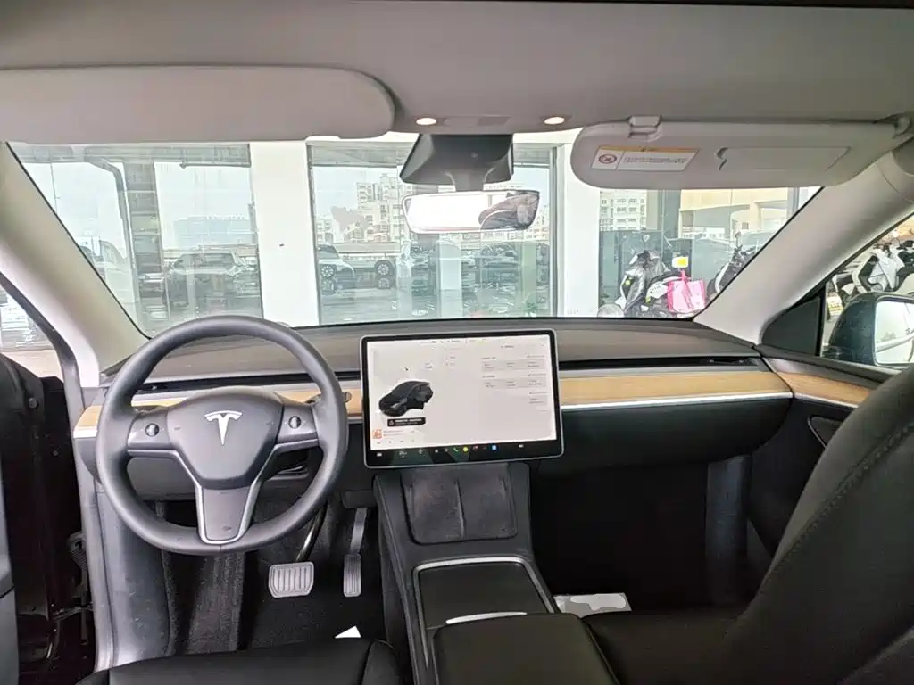 Tesla Model Y — миниатюра 10