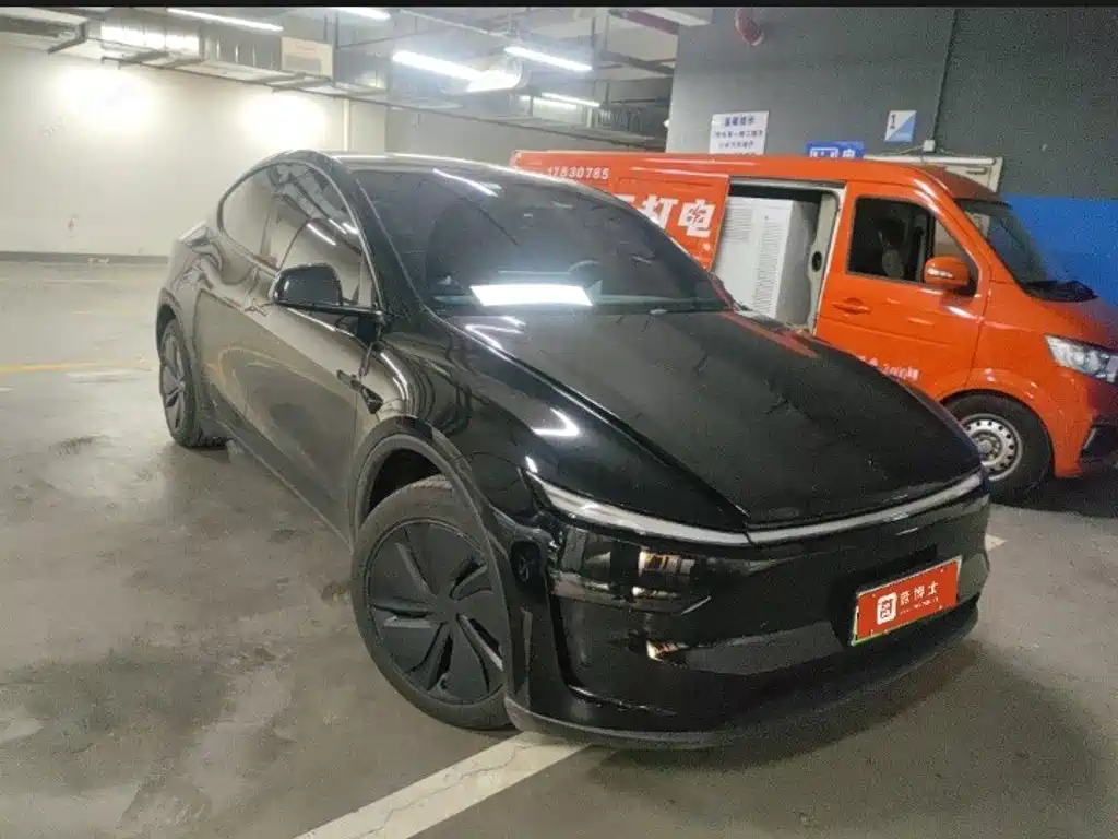 Tesla Model Y — миниатюра 2