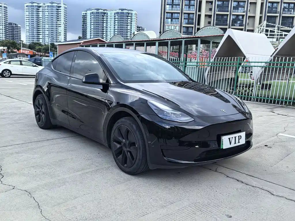 Tesla Model Y — миниатюра 4