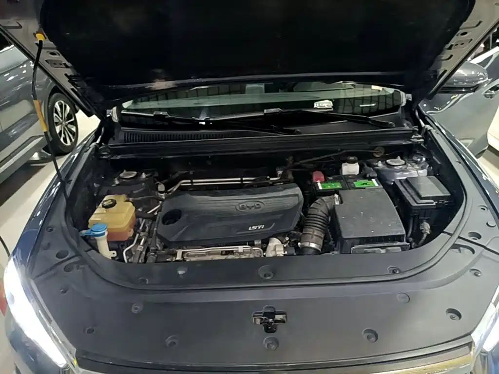 BYD Pro — миниатюра 20