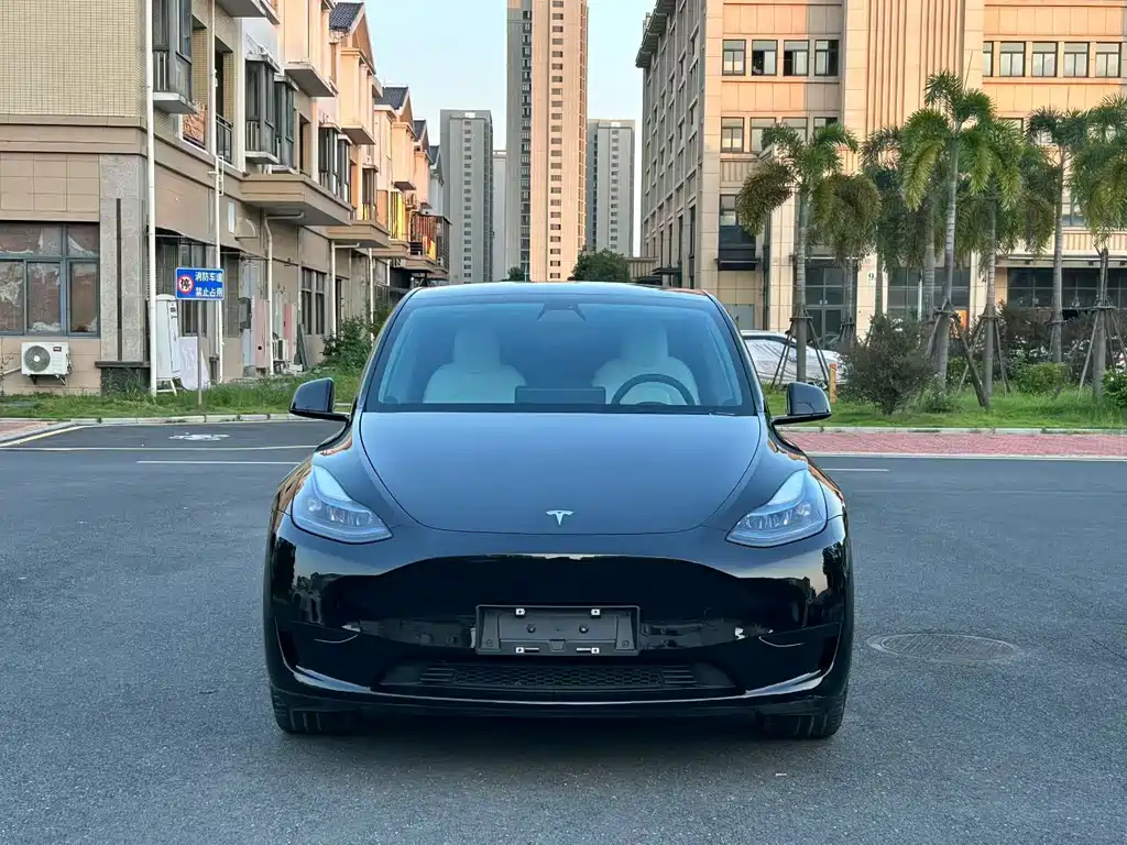 Tesla Model Y — миниатюра 2