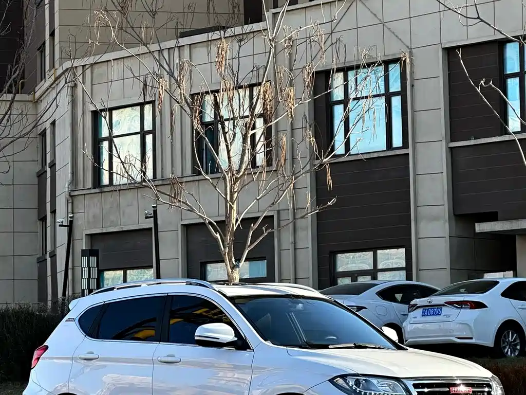 Haval H2 — миниатюра 2