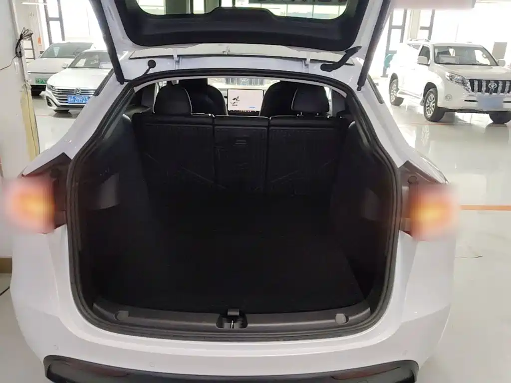 Tesla Model Y — миниатюра 19