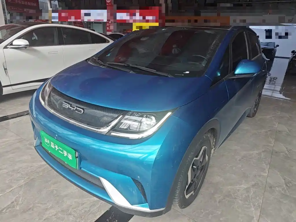 BYD Dolphin — миниатюра 2