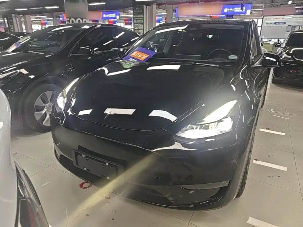 Tesla Model Y — миниатюра 3