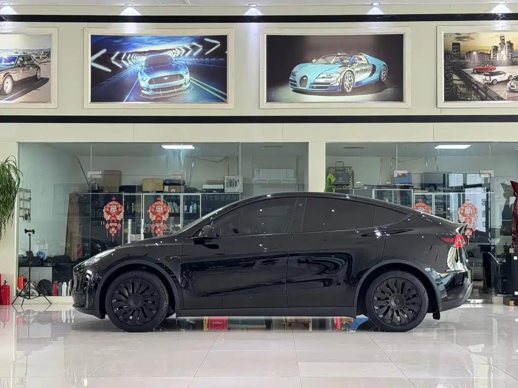 Tesla Model Y — миниатюра 11