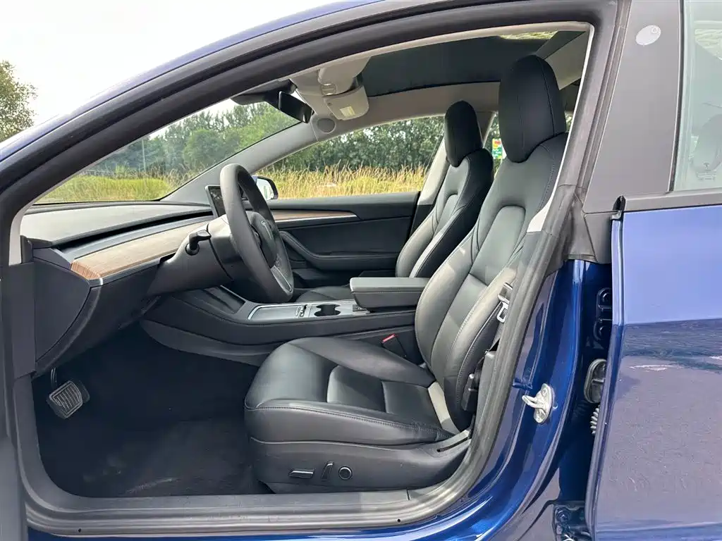 Tesla Model 3 2021 3D6