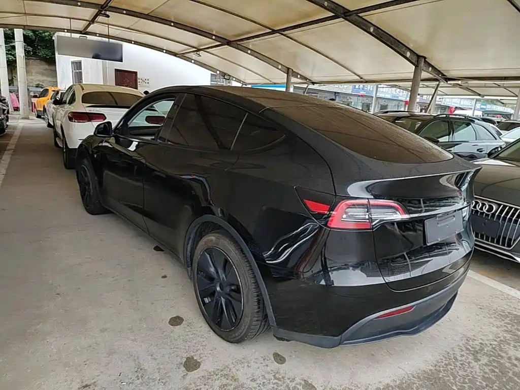 Tesla Model Y — миниатюра 5