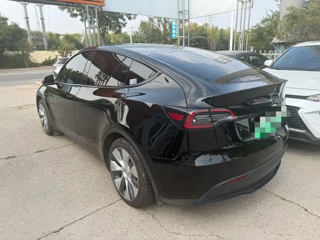 Tesla Model Y — миниатюра 2